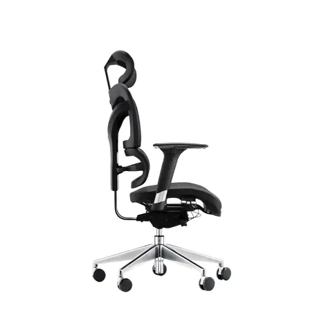 Dorsum - Executive Ergonomic Mesh Chair